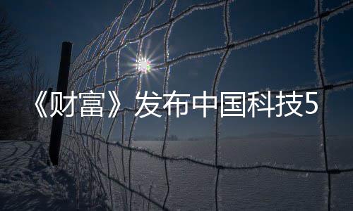 k入选 小米华为财中国强缺席富发布科技